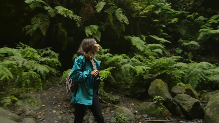 A photographer emerges from thick brush in a forest and looks up at a nearby waterfall during the day
