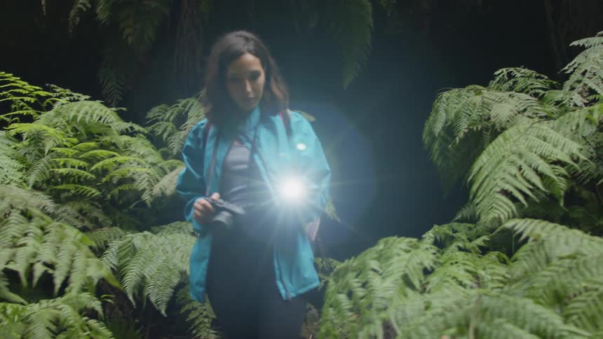A woman carrying photography equipment hikes through ferns in a tropical area