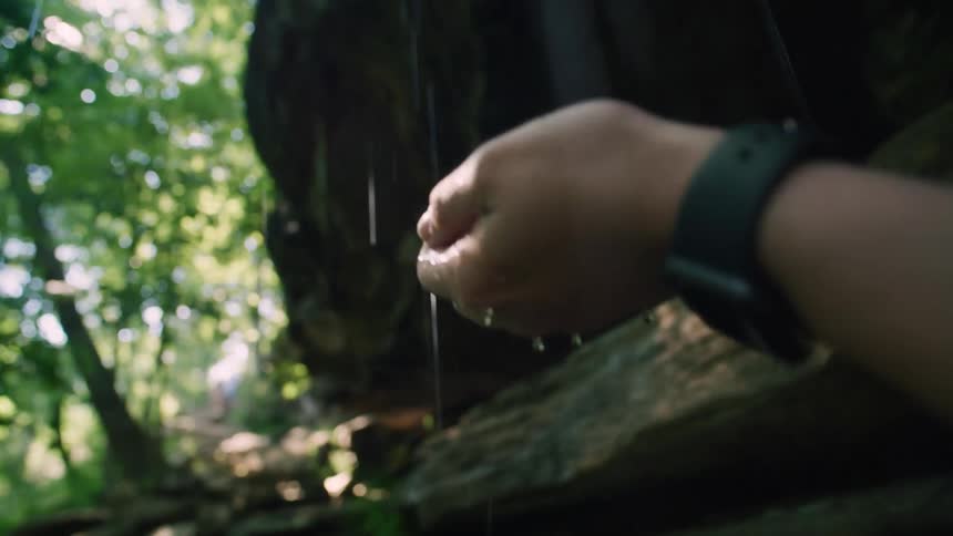Someone is standing in the woods and holding their hand out as raindrops splash into the palm of their hand