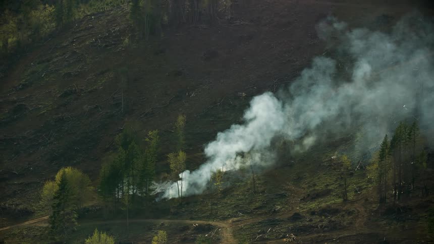 The camera rotates around a burning slash pile in a large clear cut logging operation as smoke plumes soar into the sky above