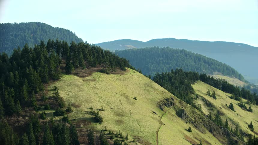 The views is in the forest and you can see some mountains in the distance