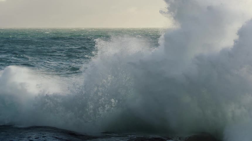 Bird flies over ocean as waves crash against shore