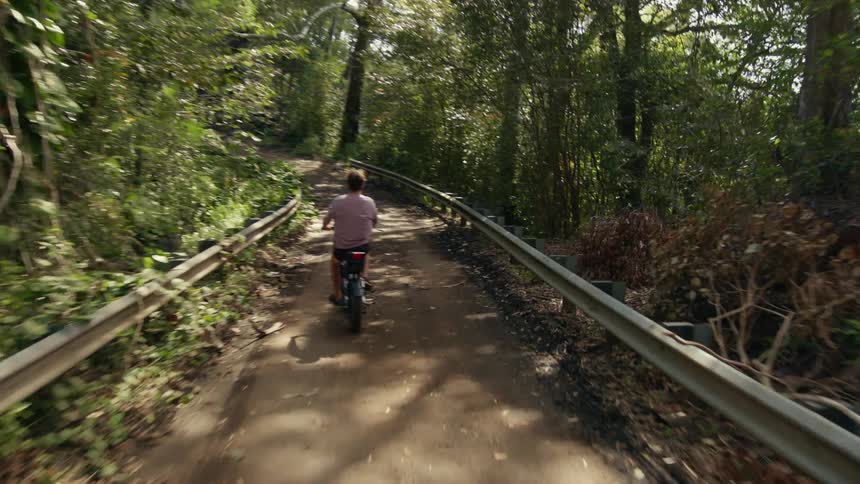 Man rides a bike on a dirt trail in the forest on a sunny day
