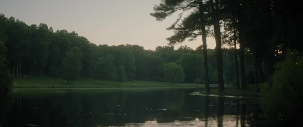 Trees surrounding a calm lake in the summertime