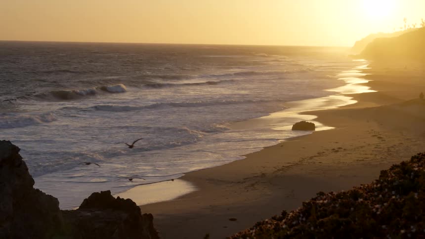 A view of the beach at sunset