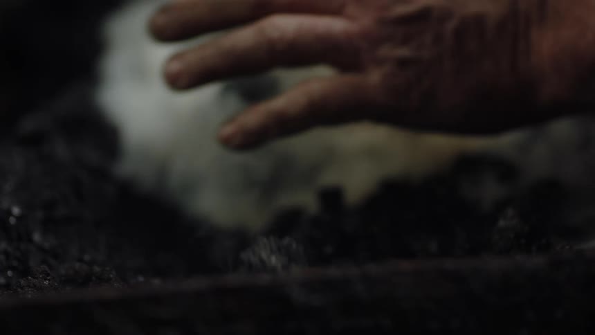 A person taking charcoal over a smoky fire with their hand