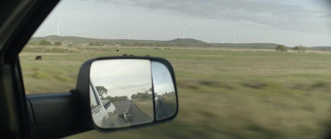 A car is traveling along a road with grass and animals on the side