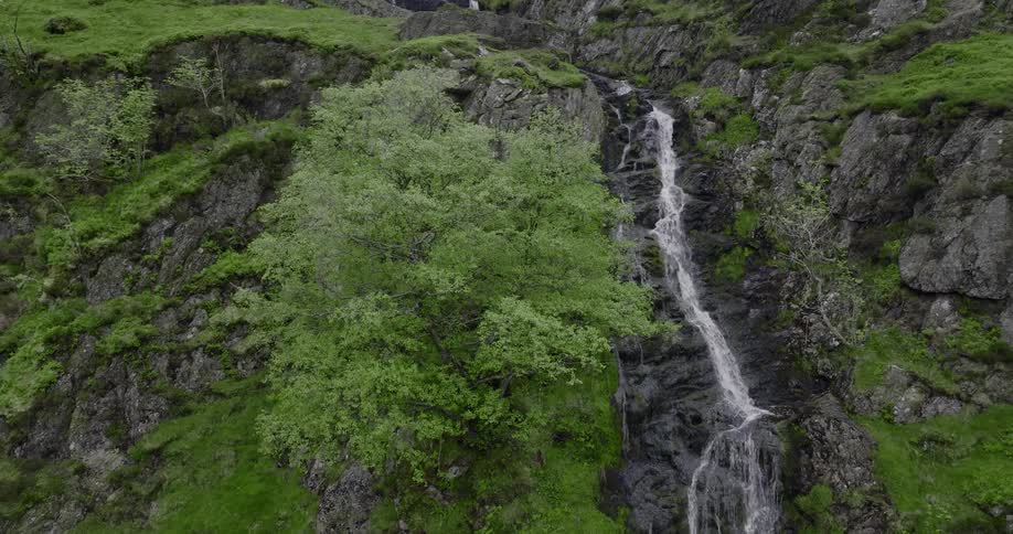A stream of water runs down a cliff covered in vegetation during the day