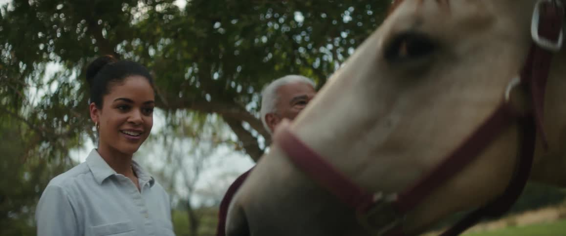 A woman and her father pet horses outside