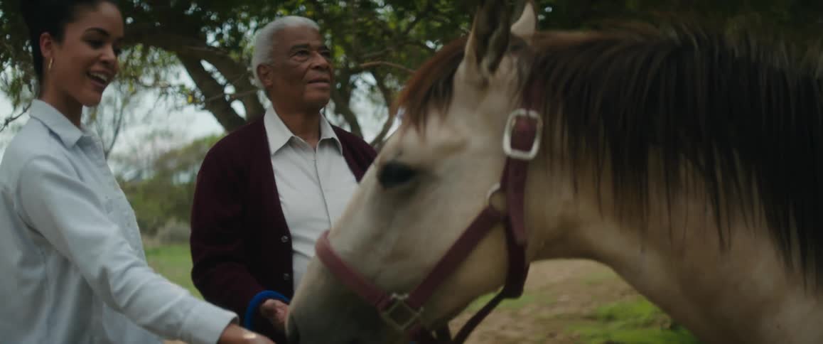 An elderly man and woman pet their horse outdoors