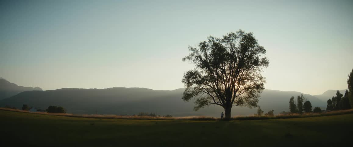 A couple standing under a tree on a ridge at sunset hug and embrace