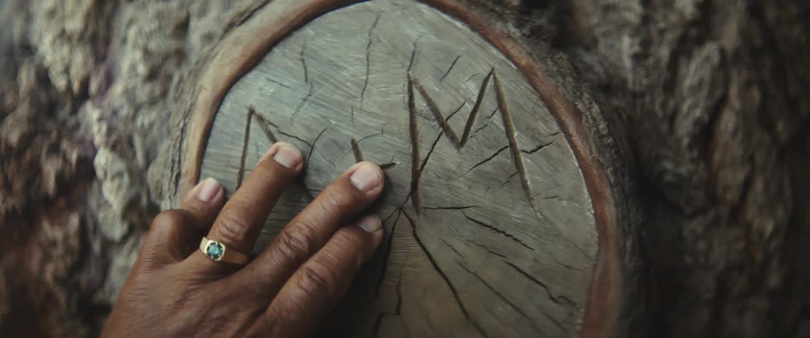 A man and woman touch initials etched into a tree