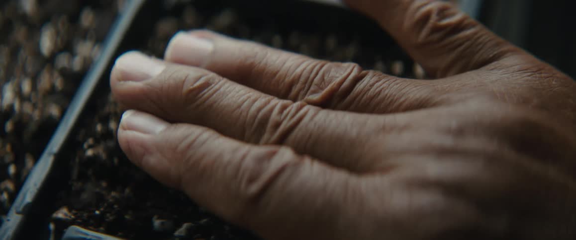 Close up of the hand of a man planting seeds on the dirt inside a planter