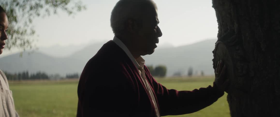 An old man standing under a tree with his hand over carved initials taking a deep breath as he remembers
