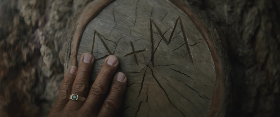 An old man touches the initials carved on a tree