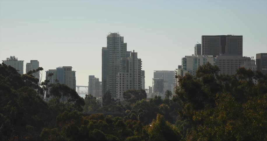 Tall buildings in a city loom over a freeway and the surrounding trees during the day
