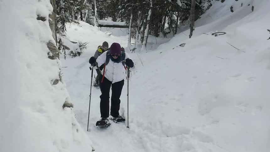 Two people hike in the snow near the woods