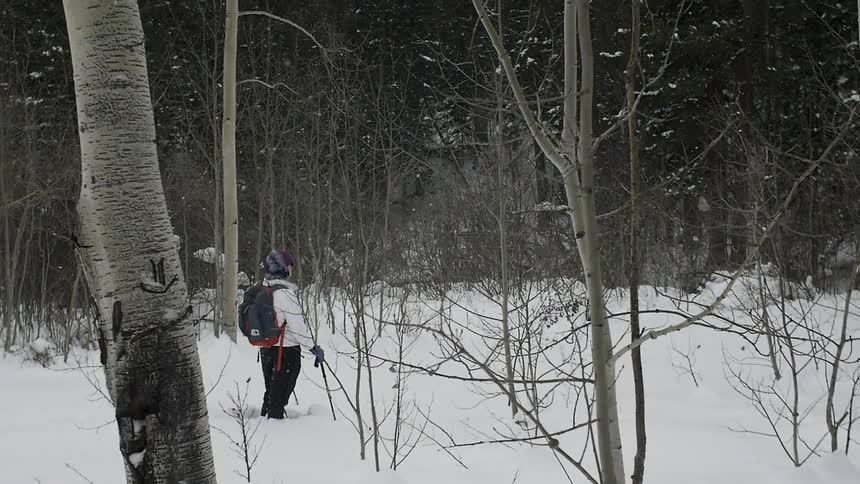 A person is standing in the snow in a forest