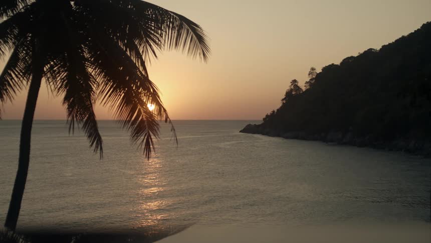 Water waves and ripples as a palm tree stands along the coast and the sun is on the horizon