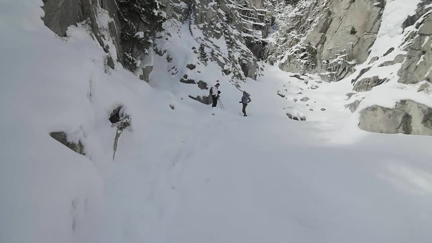 Friends In Snow