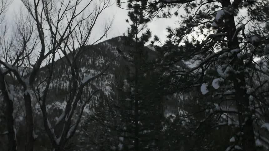 Hills and trees are covered with snow on a cloudy day
