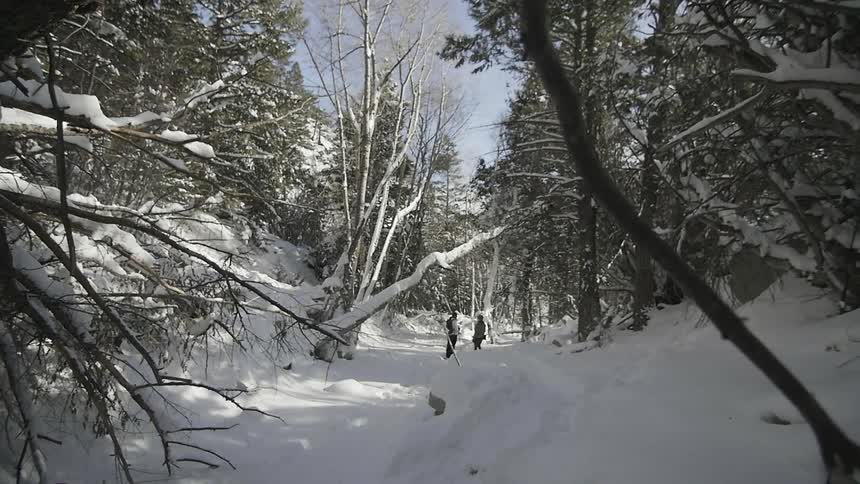 Two people are hiking in the snow covered wilderness