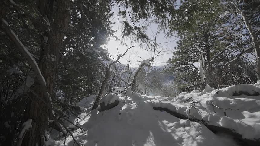 A hilly area surrounded by trees is covered with snow