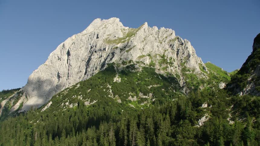 Trees stand tall on the side of a forested mountain and there is a mountain ridge with peaks high in a clear sky