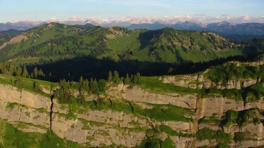 Aerial view of trees growing on the ridge of a mountain range at morning