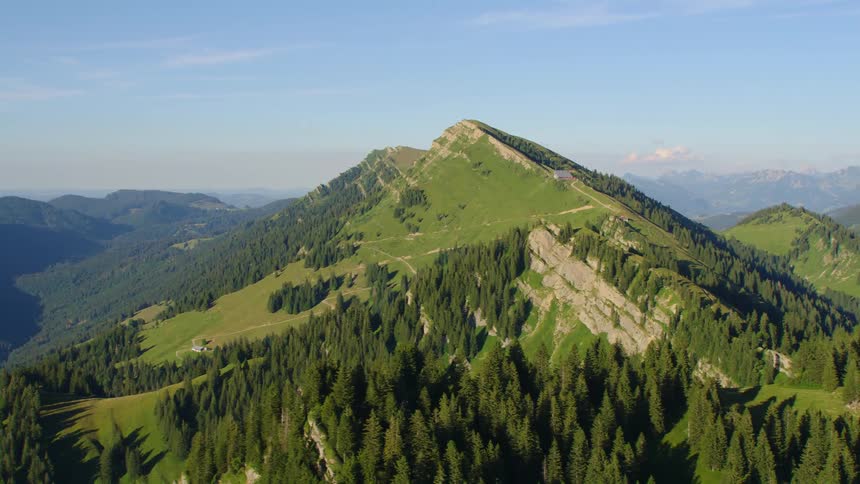 Aerial view of pine tree forests on the slopes of a mountain range at morning