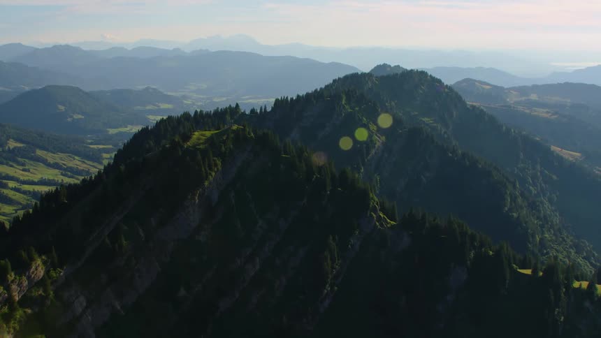 Aerial view of pine tree forests on the slopes of a mountain range at morning