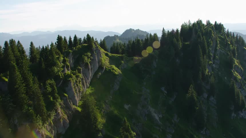 Aerial view of mountain ridge with trees