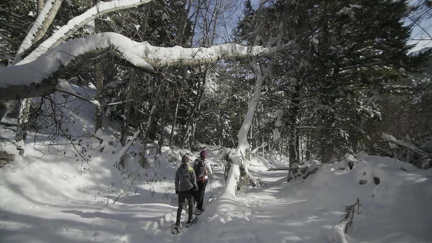 Two people move through heavy snow towards the forest