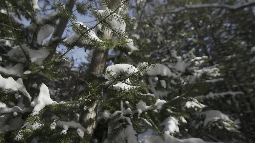 Friends In Snow