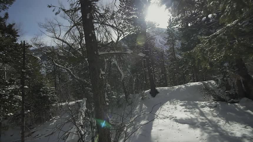 A snow bank by a forest near a mountain