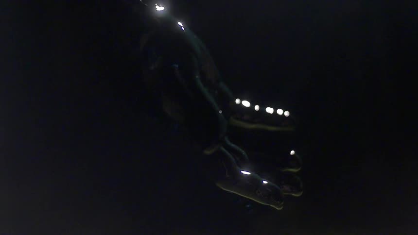 A glistening hand hangs in a dark area