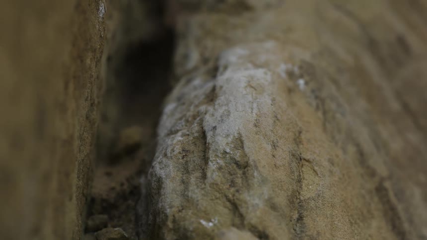 Close up view of cracks and crevices in rock on the side of a mountain