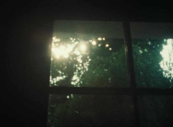 Trees sit outside of a building that has a window with four glass panes