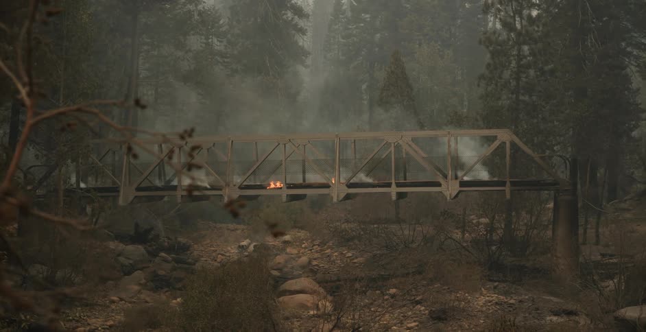 A fire burns on a bridge in a smoke filled forest