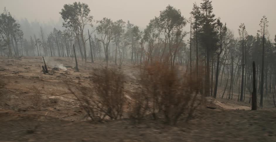 Smoke from a hot spot rises in an already smoke filled sky above the trees