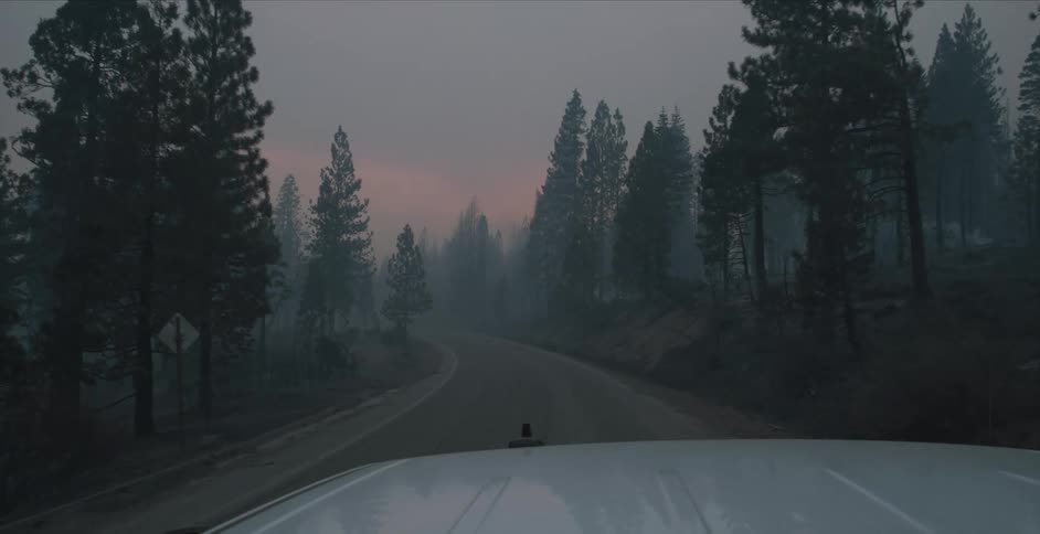 Motor vehicle drives along highway toward red tinted horizon through conifer forest