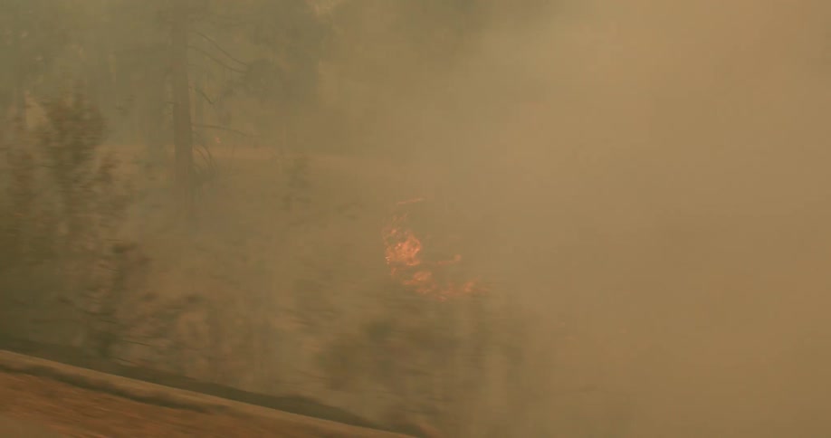 Thick smoke and flames from a forest fire visible from the road