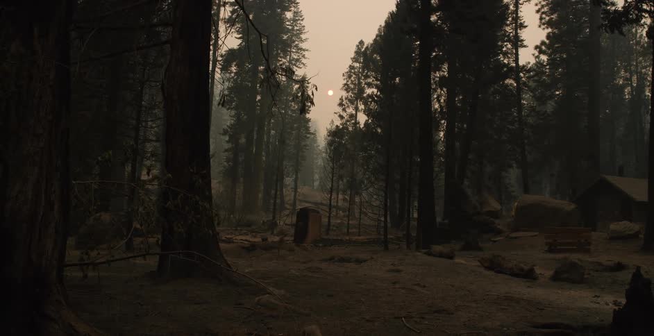 There is a house in the forest and a picnic table and the sun is in a smokey haze in the sky