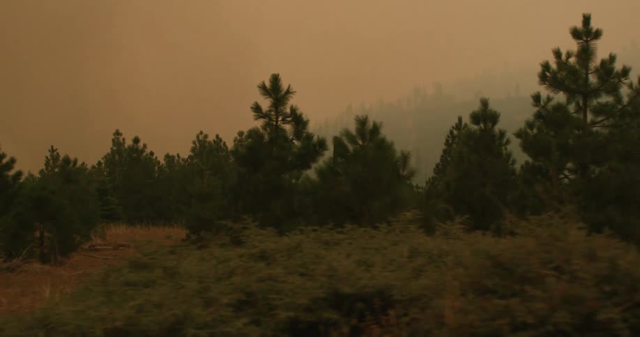 Many trees are on forested land and mountains as a thick smoke fills the orange sky