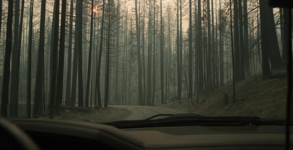 A vehicle drives down a dirt trail in the woods