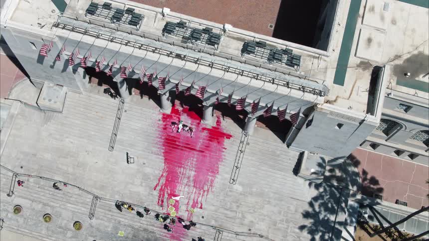 Protesters are on the steps of a building and have spilled paint