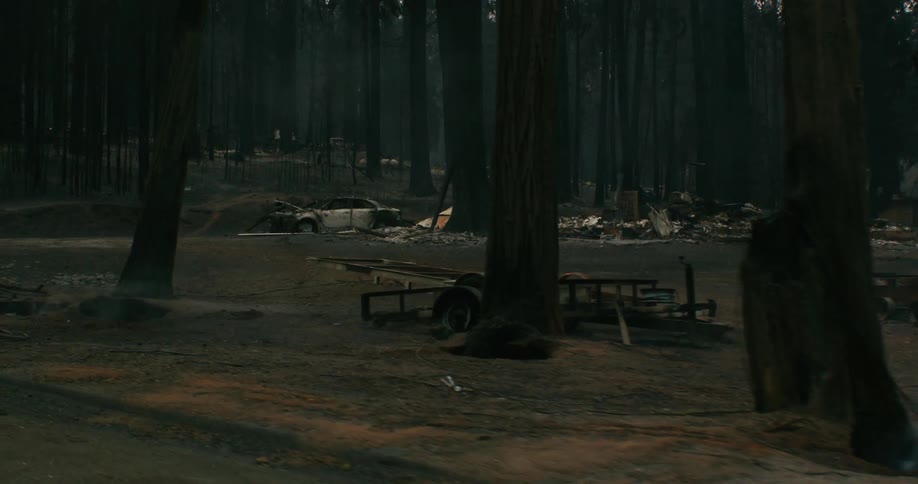 An old car and debris from a destroyed building are in the woods as smoke floats among the trees