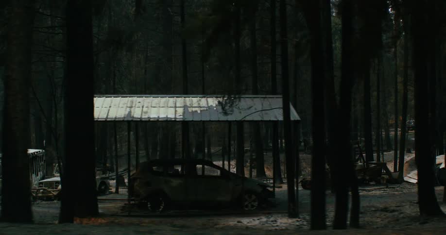 In the day time there is a view of the forest area surrounded by trees