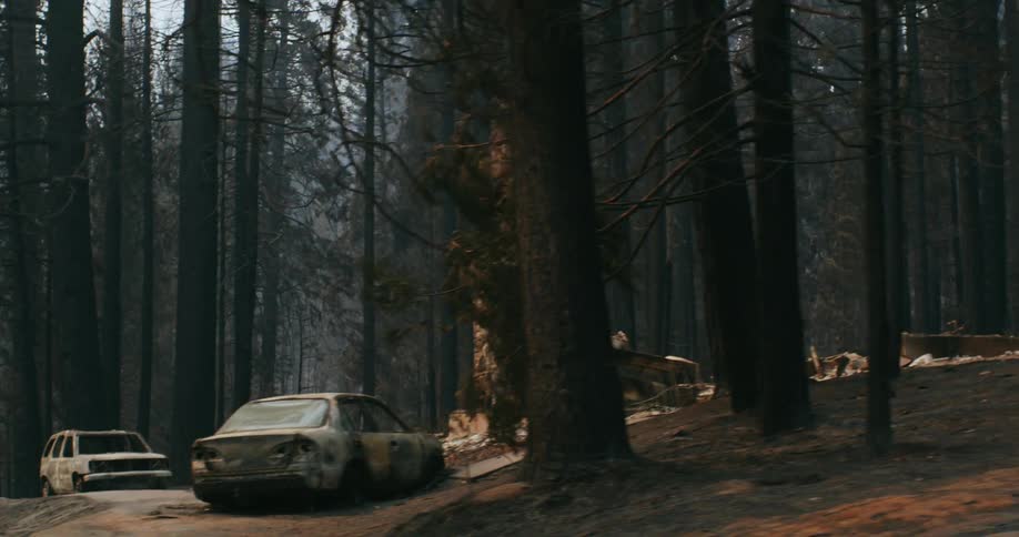 Vehicles and a home are burned in a forest fire