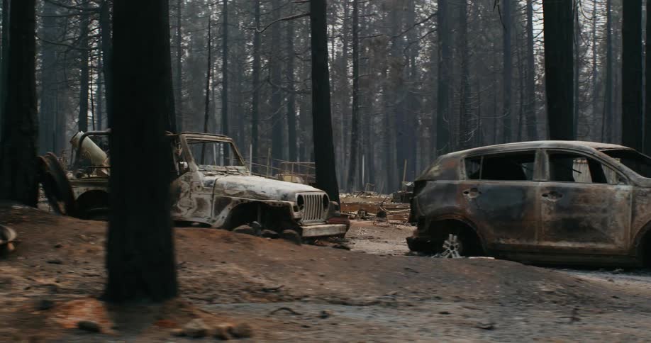 Burned down vehicles on the driveways of burnt houses after a forest fire